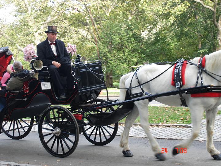 NJ_NY 182.JPG